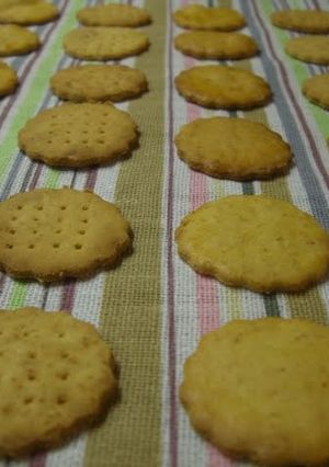 A picture of Oil-free Crispy Okara Cookies.