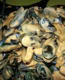Spicy Cream and Cheese Mussels
