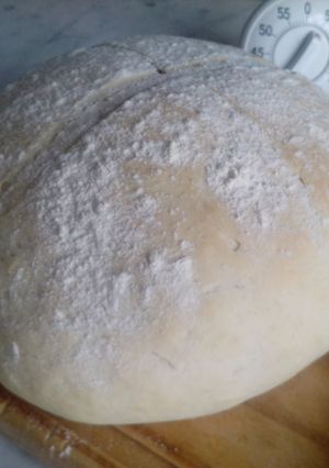 A picture of Pan de campo.