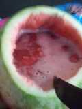 Watermelon Punch