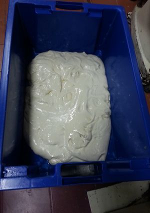A picture of Poolish Dough (Sponge Dough).