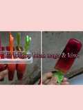 Es lolipop buah naga & kiwi