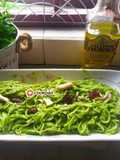 Pesto Pasta Basil