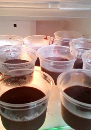 Foto resep 06. Puding Coklat