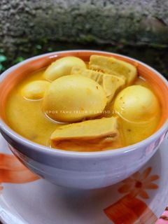 Foto resep Opor Tahu Telor