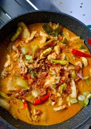 Foto resep Tongseng ayam santan (bisa untuk balita)