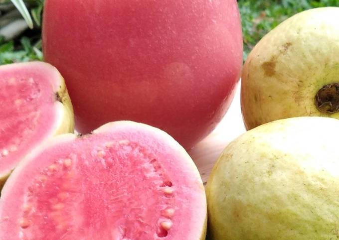 Resep Jus Jambu Merah Oleh Dapur Ummi Rafa Cookpad 9390