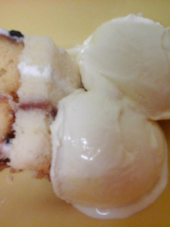 A picture of Irmgards Lemon/orange & Coconut Icecream.