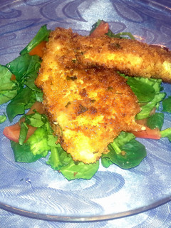 A picture of Panko breaded chicken breast.