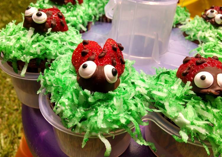 cute lady bug strawberries to top cupcakes recipe main photo