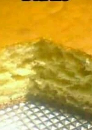 Una foto de Torta de aceite