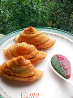 A picture of Striped Samosa.