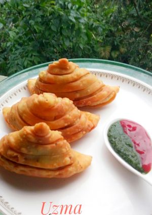 A picture of Striped Samosa.