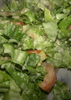 A picture of Lieeymerhs Special salad.