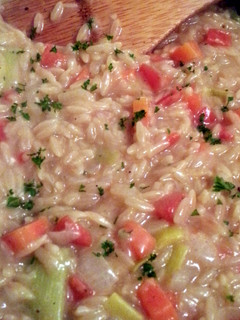 A picture of Orzo Risotto.