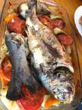 Samaki harra