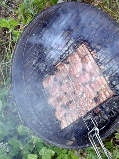 A picture of grilled pork chops.