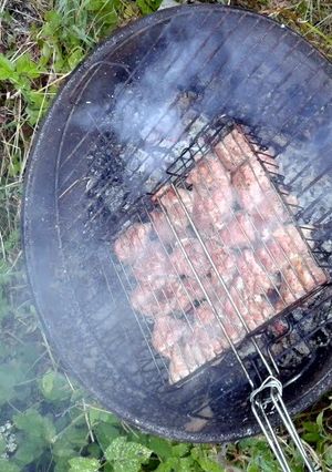 A picture of grilled pork chops.