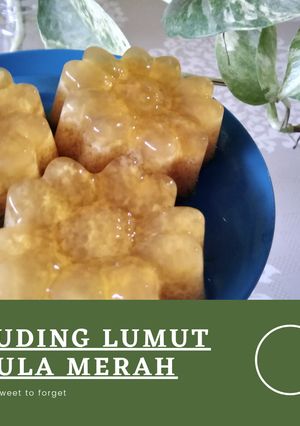 Foto resep Puding Lumut Gula Merah