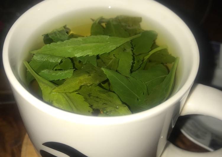 شاي اخضر عضوي بالصور من Maram كوكباد