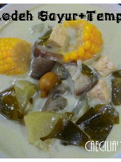Foto resep Sayur Lodeh tempe