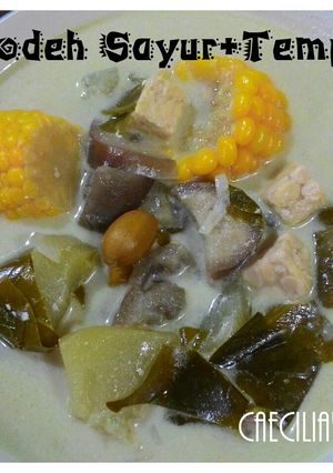 Foto resep Sayur Lodeh tempe