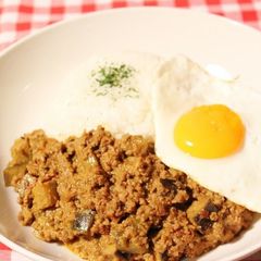 A picture of Easy Yogurt Keema Curry.