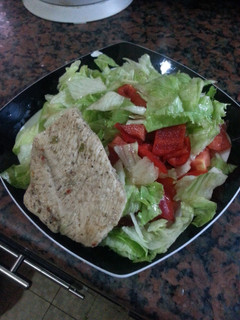 A picture of HCG diet meal 2: chicken breast and salad.