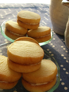 A picture of Milk Sandwich Cookies with Cream Filling.