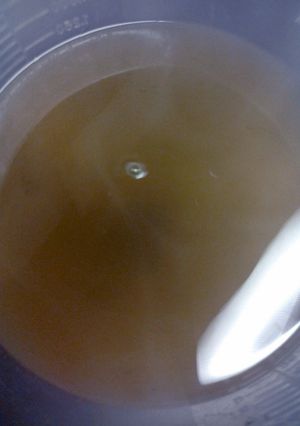 A picture of court bouillon.