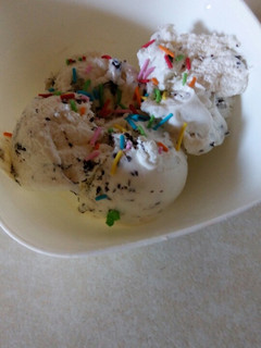 A picture of Vanilla ice cream.