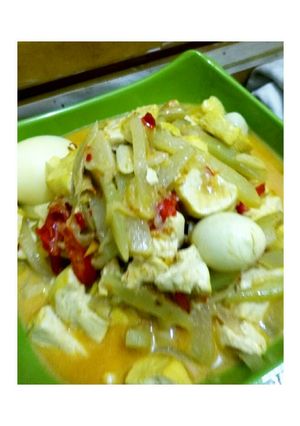 Foto resep Sayur Santan Labu Siam Campur😋