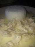 Strogonoff de pollo