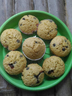 Foto resep Muffin blueberry chocochips