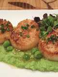 Scallops and Corriander with Sweet Green Pea puree