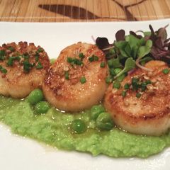 A picture of Scallops and Corriander with Sweet Green Pea puree.
