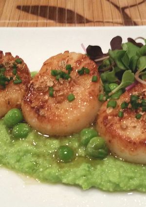 A picture of Scallops and Corriander with Sweet Green Pea puree.