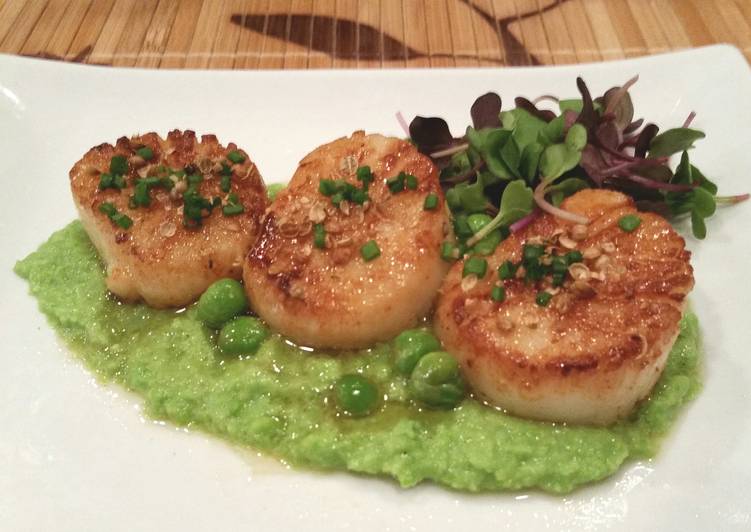 Simple Way to Make Delicious Scallops and Corriander with Sweet Green Pea puree