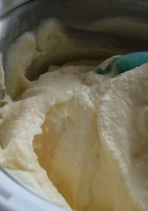 A picture of Low Calorie but Rich Vanilla Ice Cream.