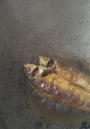 A picture of Fried bata fish.