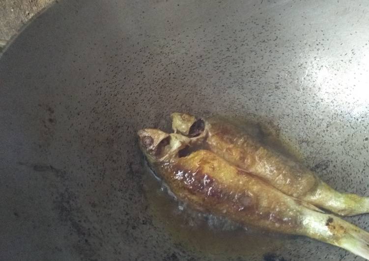 Fried bata fish