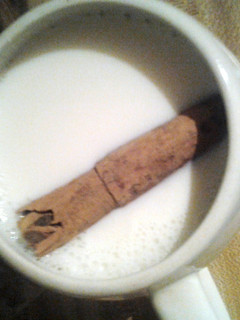 A picture of Warm milk with cinnamon stick (leche con canela).