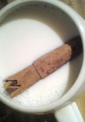 A picture of Warm milk with cinnamon stick (leche con canela).