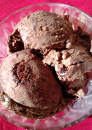 A picture of Ladybirds Delicious Home Made Choc Brownie and Fudge Sauce Choc Ice Cream ..