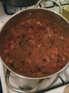A picture of Venison chilli.