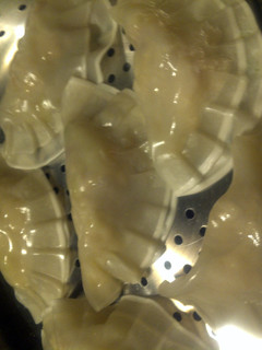 A picture of steamed stuffed wontons.