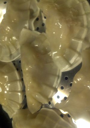 A picture of steamed stuffed wontons.