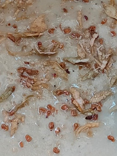 கோவா செக் செய்முறை முக்கிய புகைப்படம்