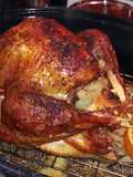 citrus turkey