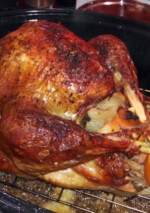 A picture of citrus turkey.